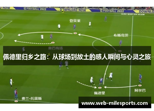 佩德里归乡之路：从球场到故土的感人瞬间与心灵之旅