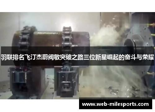 羽联排名飞汀杰蔚阀敏突破之路三位新星崛起的奋斗与荣耀