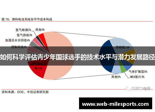 如何科学评估青少年国球选手的技术水平与潜力发展路径