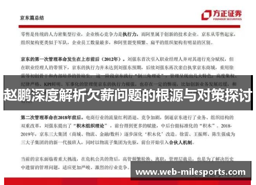 赵鹏深度解析欠薪问题的根源与对策探讨
